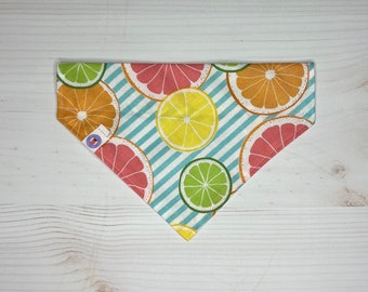 citrus striped print items | over the collar dog bandana | dog mama headband or scrunchie