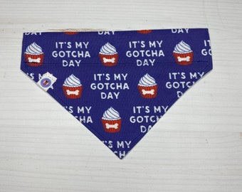 blue cupcake gotcha day premium over the collar dog bandana