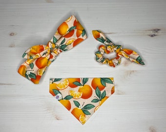 orange Drucksachen | über dem Halsband Hundehalstuch | Hundemama Stirnband oder Scrunchie