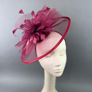 May include: A burgundy fascinator with a large feather accent and a circular base.