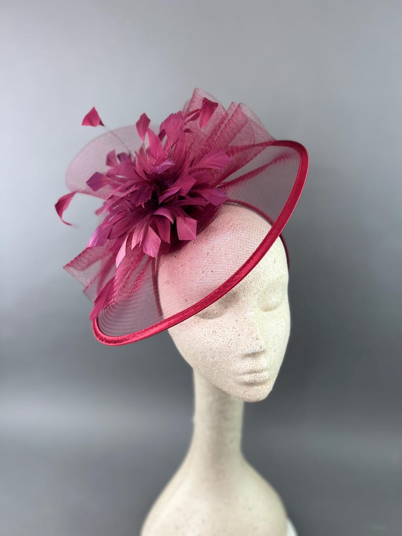 May include: A burgundy fascinator with a large feather accent and a circular base.