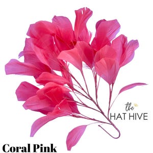 May include: Coral pink feather spray with multiple large, petal-shaped feathers. The feathers are attached to thin, brown stems. The text "Coral Pink" is at the bottom, and "the HAT HIVE" is in the upper right corner.