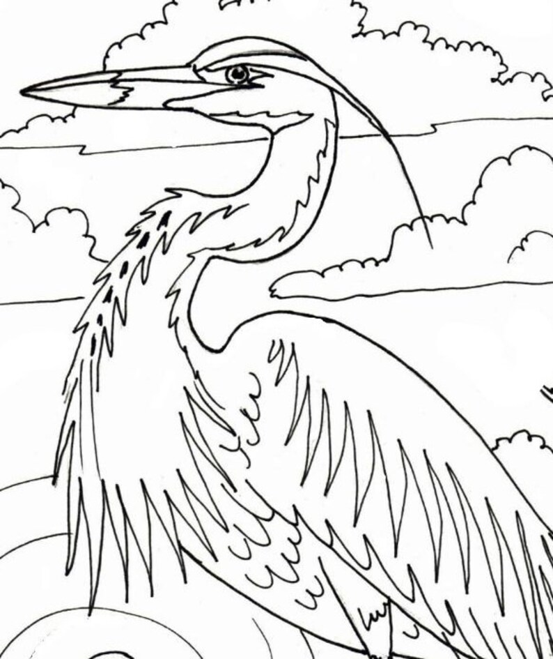 Great Blue Heron embroidery pattern coloring page | Etsy