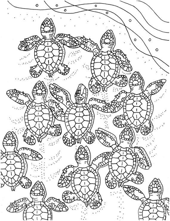 Baby Sea Turtles Coloring Page Embroidery Pattern Sea Etsy