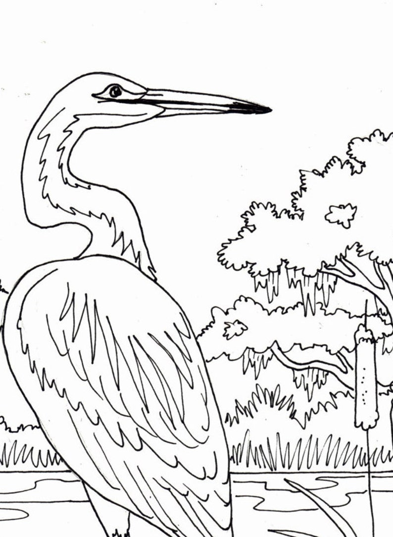 750 Top Heron Bird Coloring Pages Images 750 Top Heron Bird Coloring Pages Images