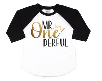 mr onederful shirt, mr onederful outfit, first birthday shirt boy, 1st birthday shirt, 1st birthday boy, tshirt, baby boy, one shirt