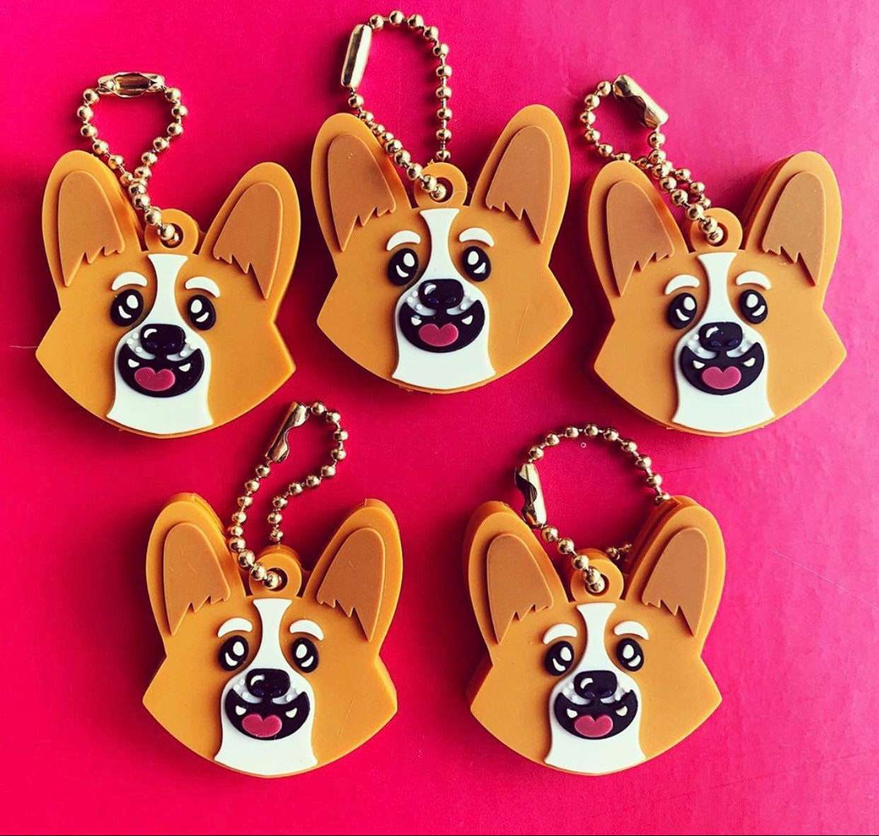 Dog key cover sales
