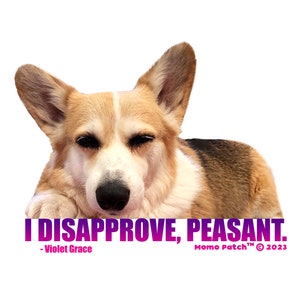 May include: A sticker featuring a corgi dog with its eyes closed, looking unimpressed. The sticker has the text "I DISAPPROVE, PEASANT." with the caption " - Violet Grace" and the text "Momo Patch™ © 2023".