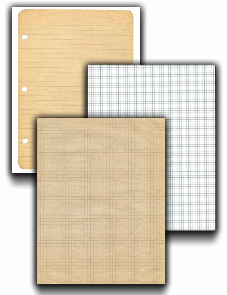 Op de afbeelding: Drie verschillende soorten papier: gelinieerd, gekarteld en gerasterd. Het gelinieerde papier is vergeeld en heeft aan de linkerkant geperforeerde gaten. Het gekarteld papier is wit met blauwe lijnen. Het gerasterde papier is bruin met blauwe lijnen.
