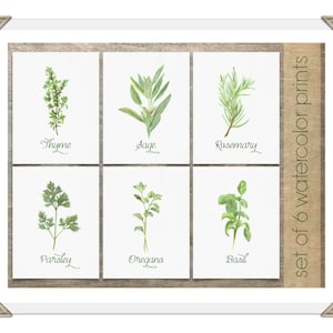 Herb Prints | Kitchen Decor - Watercolor Herbs Set of 6 Prints | Housewarming Gift | Kitchen Art | Chef Gift | Herb Prints | Gift for Mom