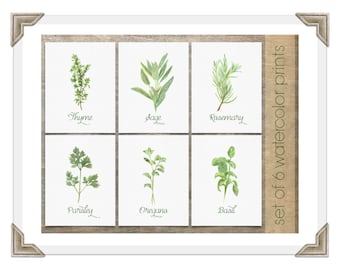 Herb Prints | Kitchen Decor - Watercolor Herbs Set of 6 Prints | Housewarming Gift | Kitchen Art | Chef Gift | Herb Prints | Gift for Mom