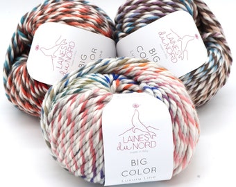Chunky wool yarn - Bulky yarn Laines du Nord Big Color - Chunky knitting yarn - Pure mercerized mulesing free wool - 100 g - 55 m