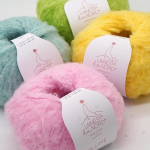 Pu&ograve; includere: Cinque gomitoli di lana soffice in colori pastello: azzurro, verde, giallo e rosa. Ogni gomitolo ha un'etichetta con scritto "LAINES du NORD" e "MADE IN ITALY". Il gomitolo rosa &egrave; etichettato "PLUME". Ogni gomitolo &egrave; da 50 g e 150 m.