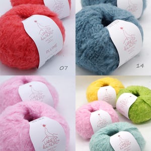 Pu&ograve; includere: Una collezione di gomitoli di lana colorati, rossi, blu, rosa, gialli e verdi. Ogni gomitolo ha un'etichetta con la scritta "LAINES du NORD PLUME". Sono visibili anche i numeri 04, 07 e 14.