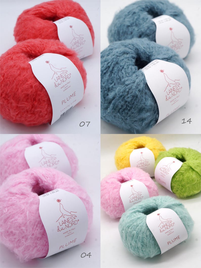 Pu&ograve; includere: Una collezione di gomitoli di lana colorati, rossi, blu, rosa, gialli e verdi. Ogni gomitolo ha un'etichetta con la scritta "LAINES du NORD PLUME". Sono visibili anche i numeri 04, 07 e 14.