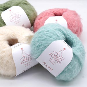 Pu&ograve; includere: Una collezione di gomitoli di lana colorati nei toni del verde, rosa, crema e blu. Ogni gomitolo ha un'etichetta con il testo "LAINES du NORD" e "PLUME". La lana &egrave; soffice e sembra morbida.