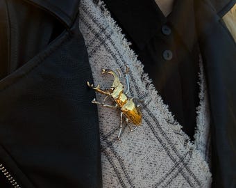 Brosche: echter Hirschkäfer, elektrogeformt, mit reiner Rhodiumveredelung und Gold
