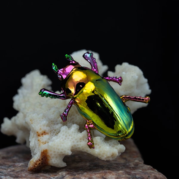 Vero e proprio insetto elettroformato con rame. Spilla di insetti