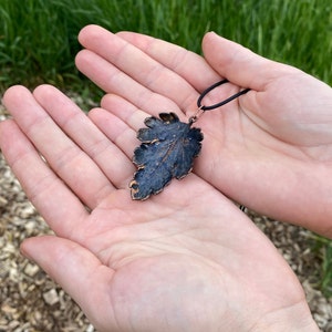 Botanical jewelry: Real chrysanthemum leaf  electroformed with copper. Blacken copper.