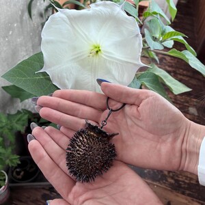 May include: A dark bronze-colored pendant with a spiky, textured design is held in open hands. The pendant is suspended from a black chain. A large white flower with a yellow center and green leaves is in the background.