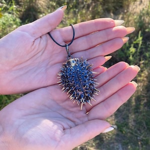 Metà della scatola di semi ciondolo di vera Datura stramonium / Gioielli botanici / Collana Spike