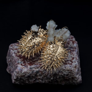 Orecchini di datura / metà della scatola di semi / oro elettroformato / orecchini di mela di spina in metallo / pianta di pozione della strega. Moda stregata