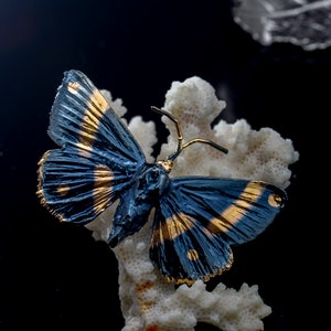May include: A butterfly brooch featuring dark blue wings with prominent gold horizontal stripes and small gold circular accents. The butterfly has thin, curved gold antennae and a textured body, resting on a piece of white, porous coral.