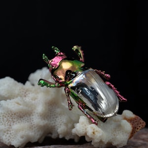 Puede incluir: Una figura de escarabajo metálico con tonos iridiscentes rosa, verde y plateado descansa sobre un trozo de coral blanco. El cuerpo del escarabajo refleja la luz, mostrando su diseño detallado. El fondo es de color oscuro y sólido.