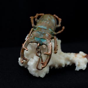 May include: A detailed copper beetle sculpture with verdigris accents, resting on a piece of white coral. The beetle has large pincers and intricate detailing, set against a black background.