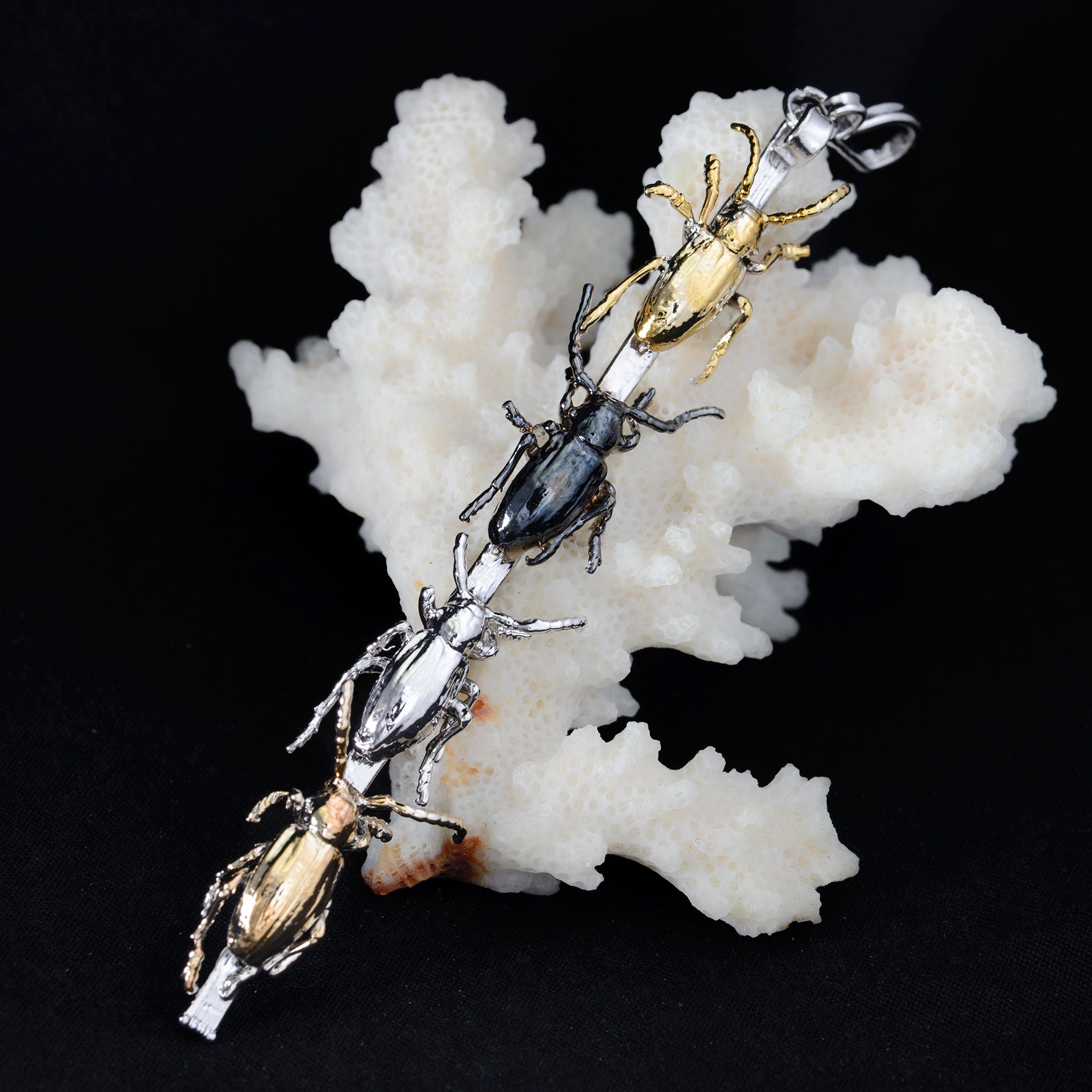 Unusual jewelry four bug. Real insect pendant. Etsy