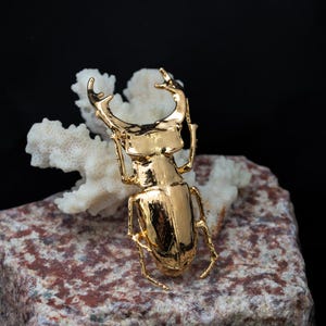 Gold beetle brooch. Electroformed jewelry.