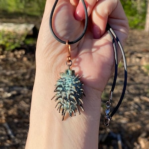Datura stramonium: metà vera della scatola dei semi elettroformata con rame. Patina di malachite.