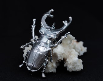 Pendentif scarabée du renouveau argent massif - Un grand marché