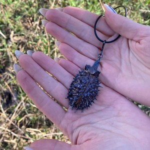 Metà della scatola del seme di datura elettroformata con finitura in rutenio / ciondolo strega / gioiello gotico
