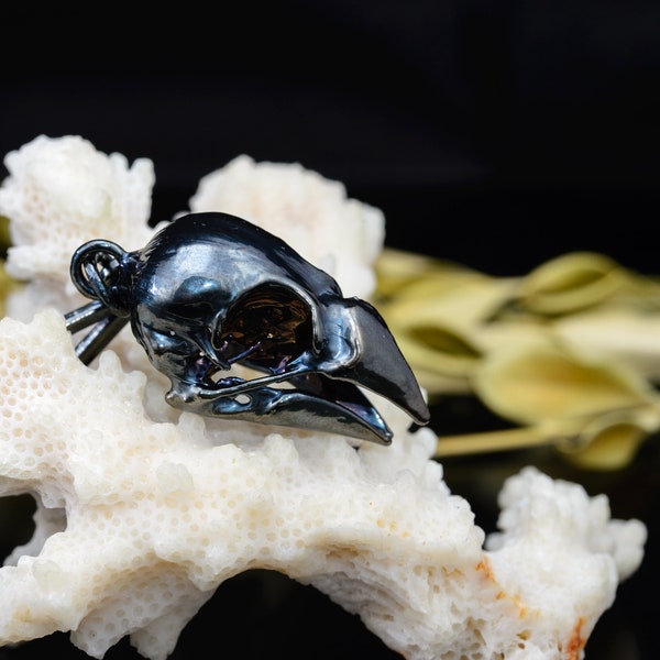 Finch Skull electroformed pure ruthenium finishing. Gothic bird jewelry. Real taxidermy bone plated with metal.