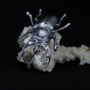 Puede incluir: Un colgante de escarabajo ciervo en tono plateado metálico con acabado pulido, que presenta mandíbulas prominentes y patas articuladas. El dije con forma de insecto incluye una pequeña anilla circular unida a la cabeza.