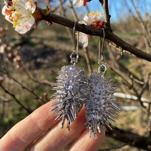 Orecchini di datura / metà della scatola di semi / elettroformati in rodio / orecchini di mela di spina in metallo / pianta della pozione della strega. Moda stregata