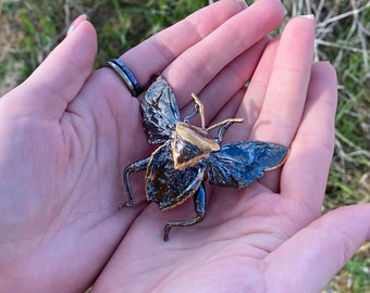 Brosche „Bug“: echtes Insekt, elektrogeformt mit reinem Ruthenium und lokalem Gold