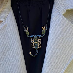 May include: A scorpion pendant necklace with a black cord. The scorpion is detailed with blue, green, and gold accents. The necklace is worn over a black top and a light-coloured jacket.