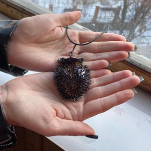 Big pendant with thorns real and natural seed box of datura stramonium electroformed ruthenium.