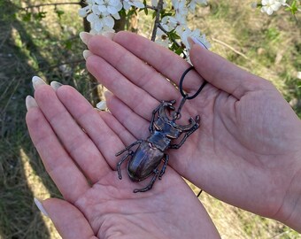 Stag beetle copper pendant. Black copper. Electroformed insect jewelry. Nature inspired