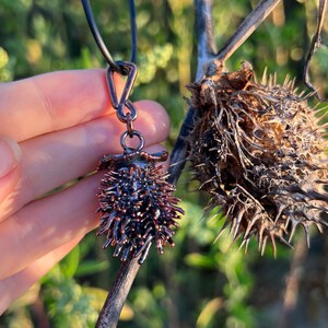 Bijoux botaniques : véritable boîte à graines de datura électroformée avec du cuivre. Patine brillante.