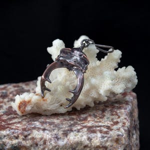 May include: A dark metallic pendant shaped like the mandibles of a stag beetle. The piece features a textured, weathered finish with copper-toned highlights along the curved, pronged edges and includes a small metal loop at the top for attachment.