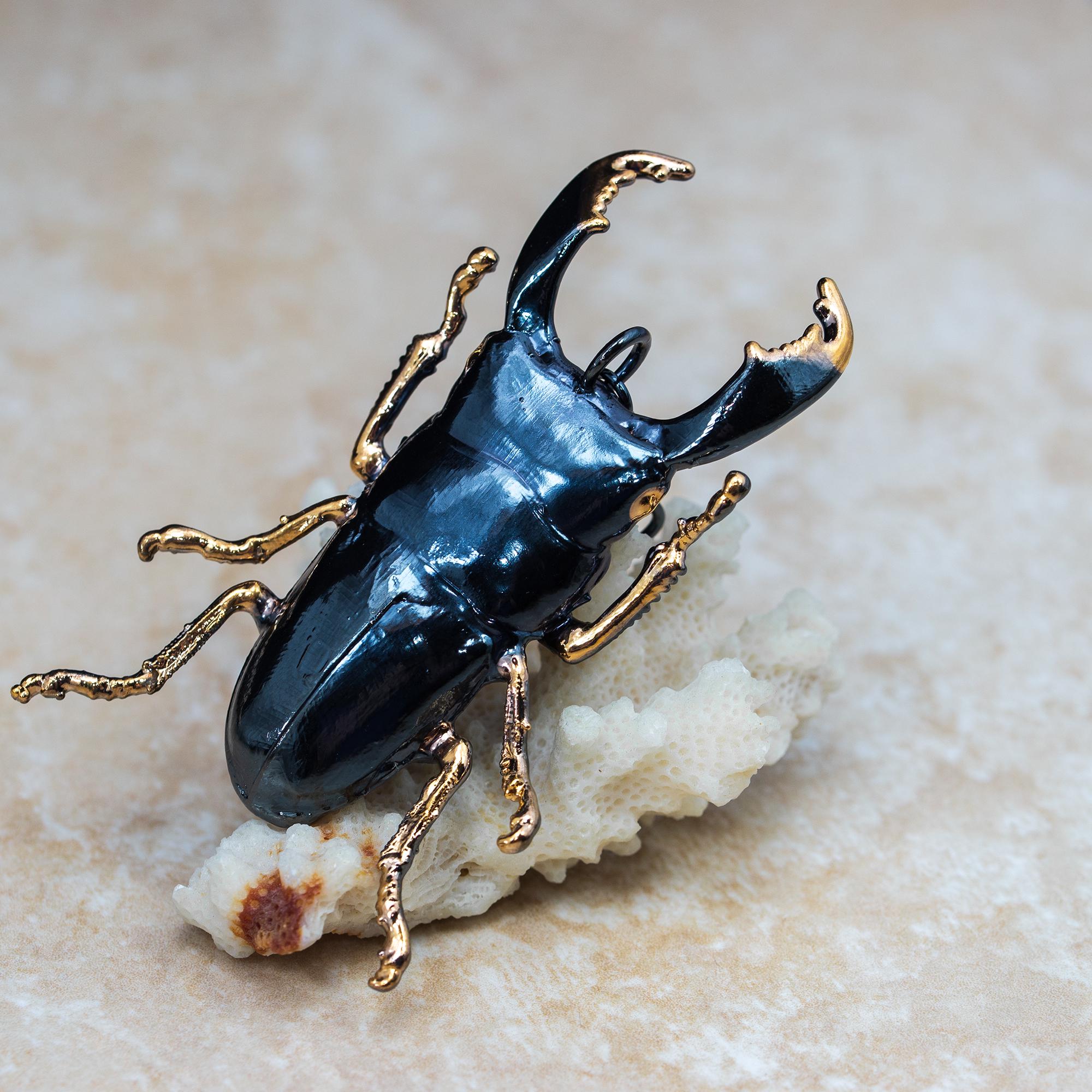 Blue feigning death beetle - Etsy 日本