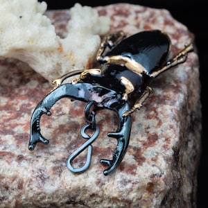 Real natural stag-beetle electroformed pure ruthenium finishing.