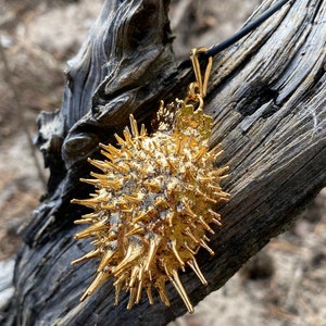 Ciondolo Datura Gioielli botanici: vera metà della scatola dei semi