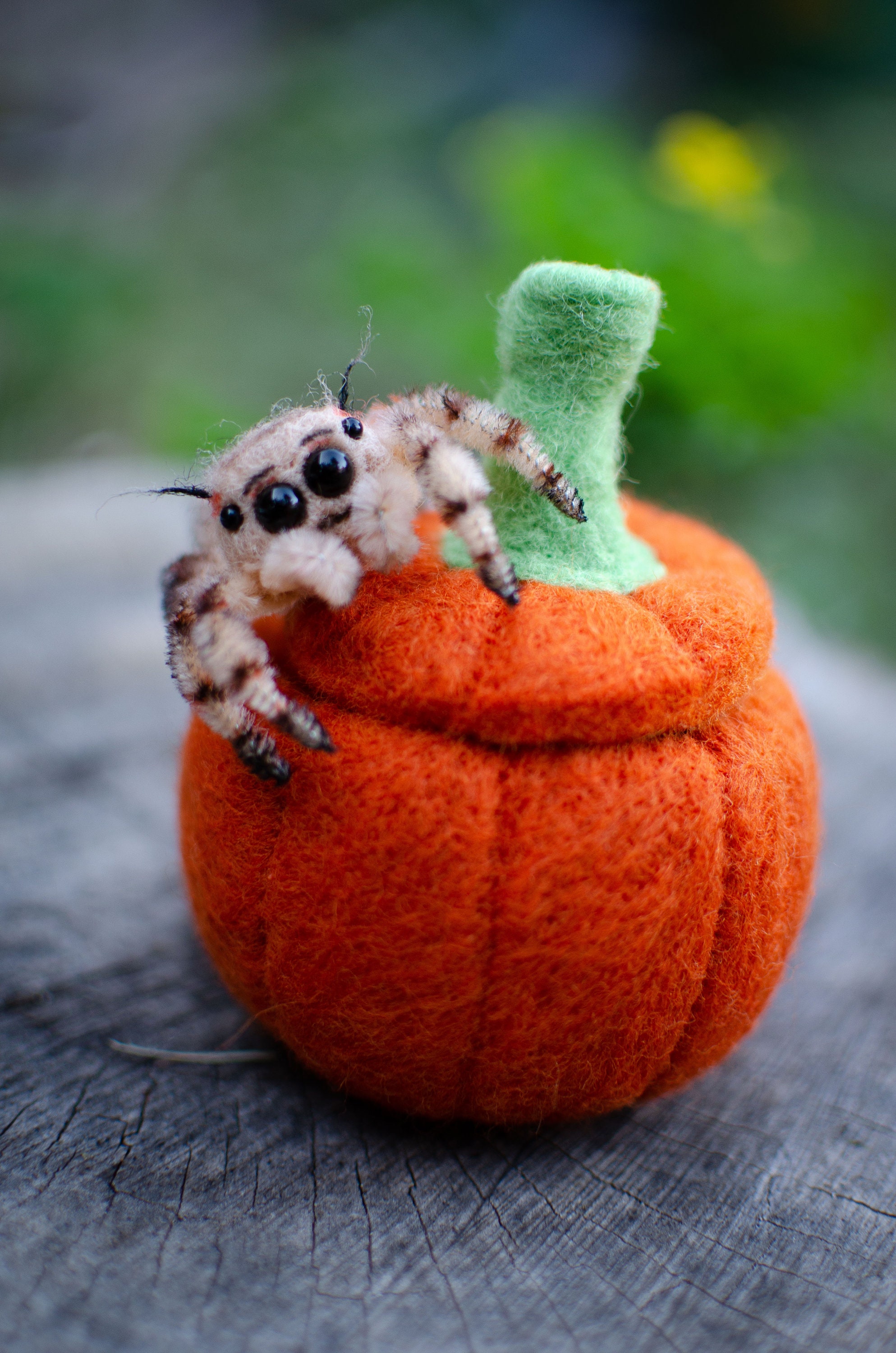 Needle Felted Jumping Spider Sculpture, Pumpkin Home, Kawaii