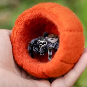 Cute jumping spider toy, creepy gift, poseable sculpture, needle felted doll, black spider arachnida, cute kawaii monster, made to order image 9