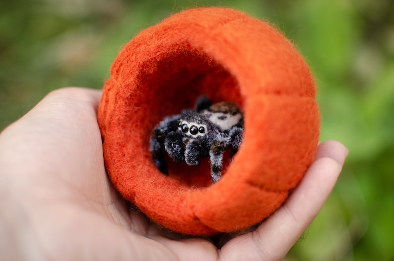 Cute jumping spider toy, creepy gift, poseable sculpture, needle felted doll, black spider arachnida, cute kawaii monster, made to order image 9