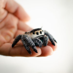 Cute jumping spider toy, creepy gift, poseable sculpture, needle felted doll, black spider arachnida, cute kawaii monster, made to order image 3